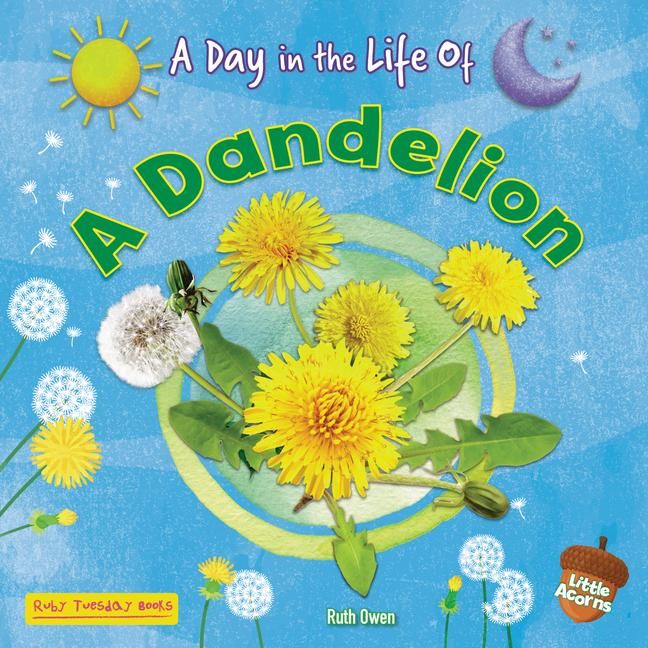 Produktbild: A Dandelion