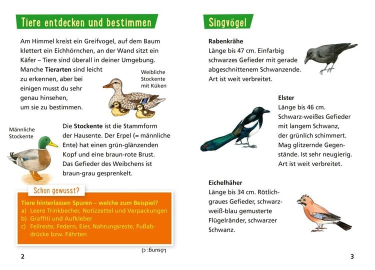 Produktbild: Pixi Wissen 30: Tiere erkennen