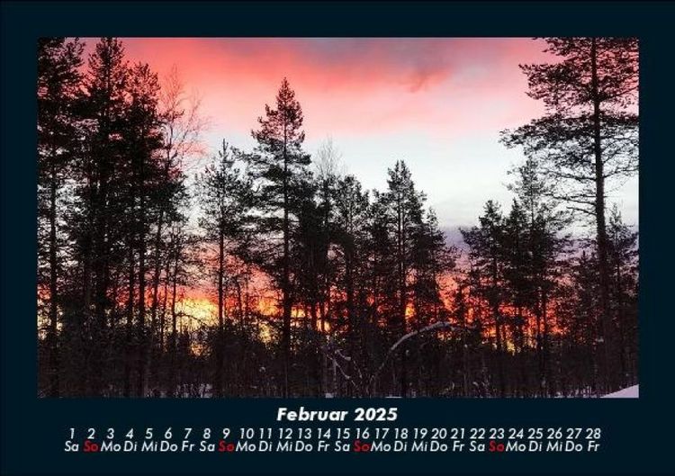 Produktbild: B&auml;ume 2025 Fotokalender DIN A5