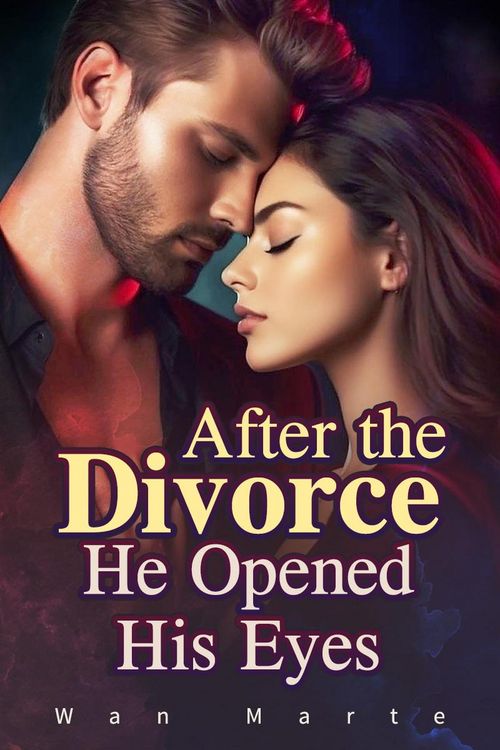 Produktbild: After the Divorce He Opened His Eyes