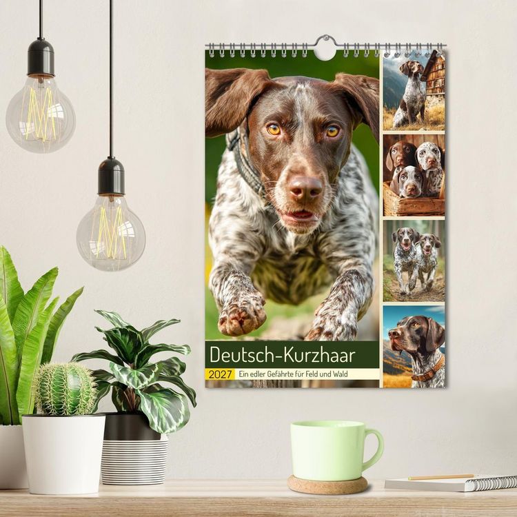 Produktbild: Deutsch-Kurzhaar. Ein edler Gef&auml;hrte f&uuml;r Feld und Wald (Wandkalender 2027 DIN A4 hoch), CALVENDO Monatskalender