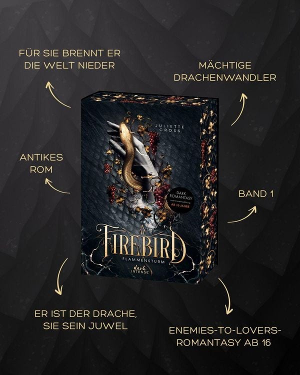 Produktbild: Flammensturm (Band 1) - Firebird