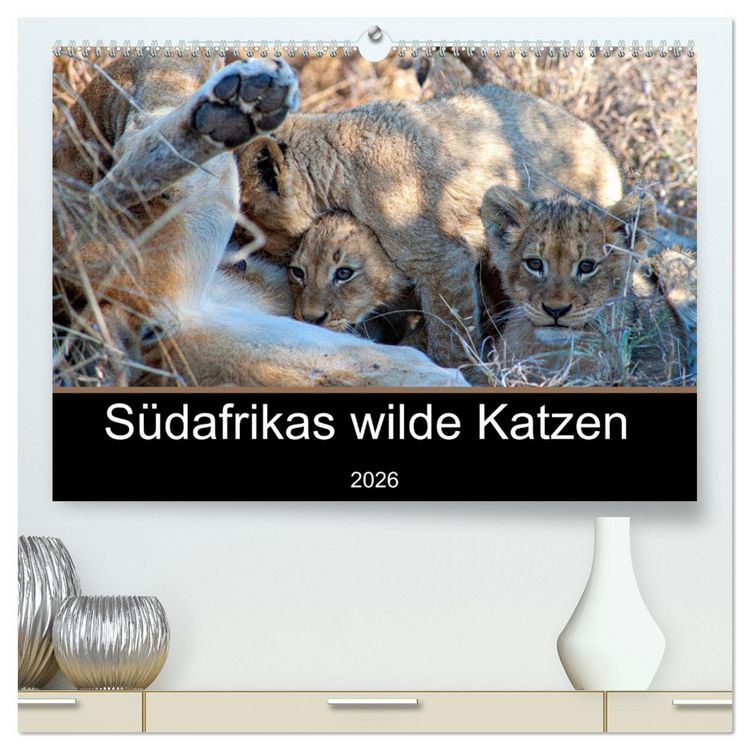 Produktbild: S&uuml;dafrikas wilde Katzen (hochwertiger Premium Wandkalender 2026 DIN A2 quer), Kunstdruck in Hochglanz