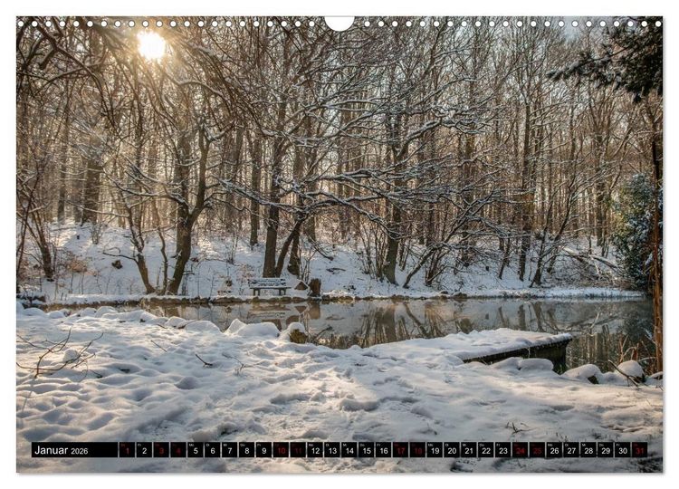 Produktbild: Wege des einfachen Gl&uuml;cks - Spazierg&auml;nge im Wald (Wandkalender 2026 DIN A3 quer), CALVENDO Monatskalender