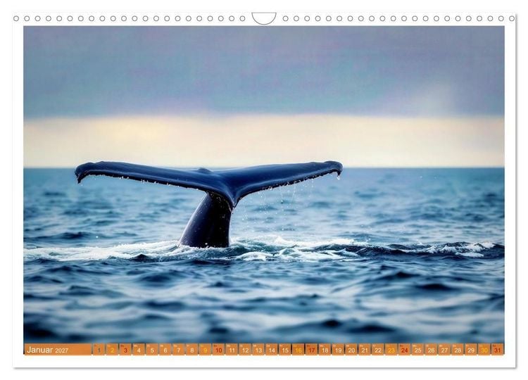 Produktbild: Whale Watching (Wandkalender 2027 DIN A3 quer), CALVENDO Monatskalender