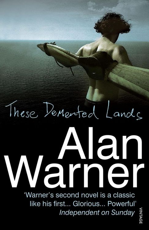 Produktbild: These Demented Lands