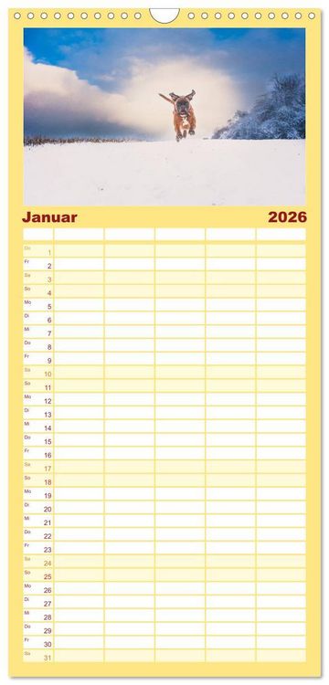 Produktbild: Familienplaner 2026 - Deutscher Boxer mit 5 Spalten (Wandkalender, 21 x 45 cm) CALVENDO