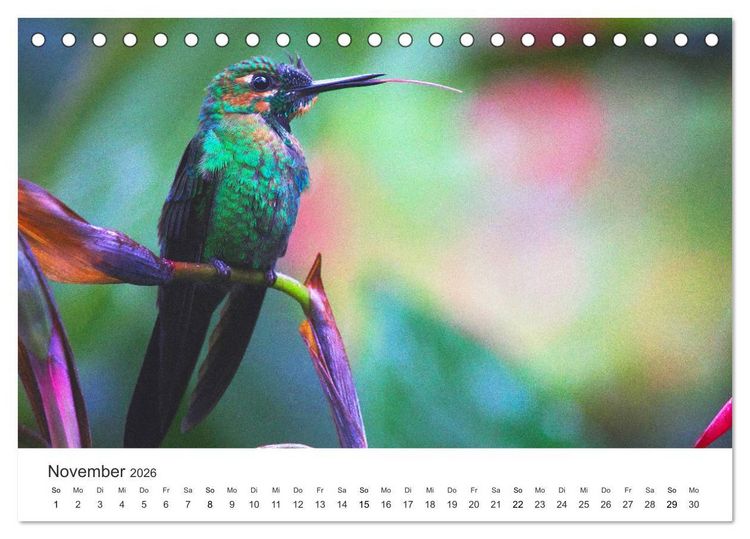 Produktbild: Costa Rica - exotische Tierwelt und unber&uuml;hrte Natur (Tischkalender 2026 DIN A5 quer), CALVENDO Monatskalender