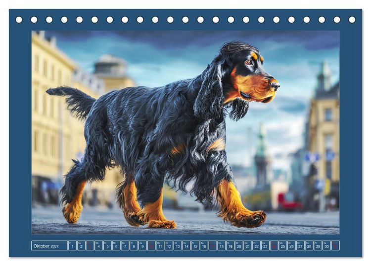 Produktbild: Gordon Setter. Edle Seelen in der Natur (Tischkalender 2027 DIN A5 quer), CALVENDO Monatskalender