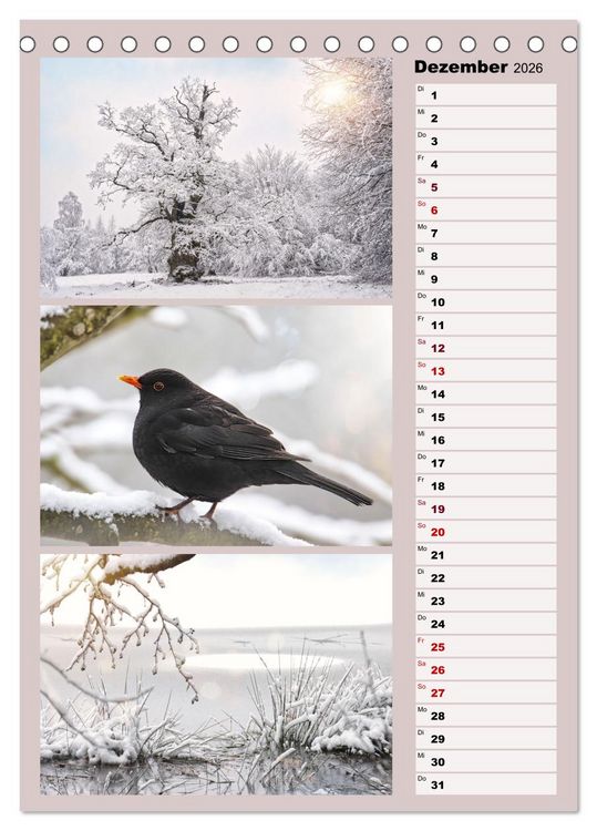 Produktbild: Harmonie der Farben in Landschaft und Natur (Tischkalender 2026 DIN A5 hoch), CALVENDO Monatskalender