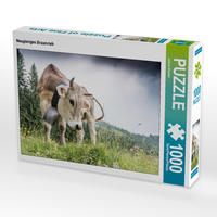 Produktbild: CALVENDO Puzzle Neugieriges Braunvieh | 1000 Teile Lege-Gr&ouml;&szlig;e 64x48cm Foto-Puzzle f&uuml;r gl&uuml;ckliche Stunden