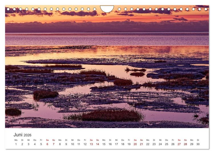 Produktbild: Schutzgebiet Wattenmeer (Wandkalender 2026 DIN A4 quer), CALVENDO Monatskalender