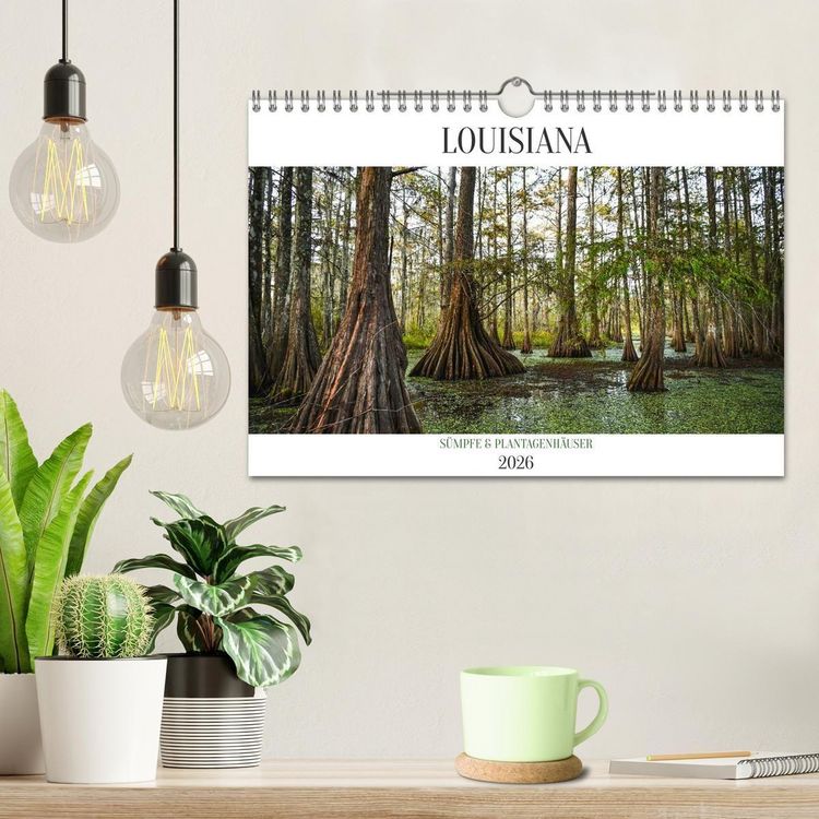 Produktbild: Louisiana - S&uuml;mpfe und Plantagenh&auml;user (Wandkalender 2026 DIN A4 quer), CALVENDO Monatskalender