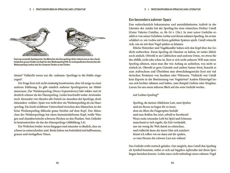 Produktbild: Der Spatz