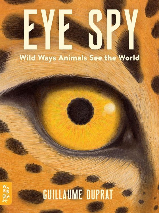 Produktbild: Eye Spy