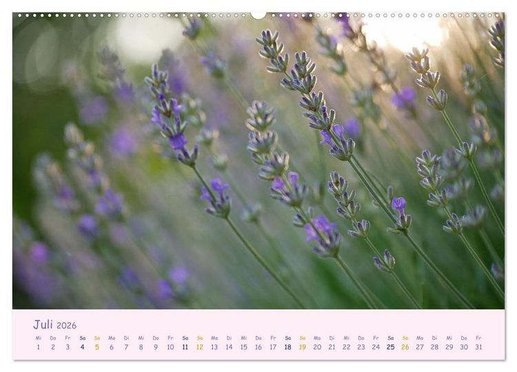 Produktbild: Naturwunder Bl&uuml;ten (hochwertiger Premium Wandkalender 2026 DIN A2 quer), Kunstdruck in Hochglanz