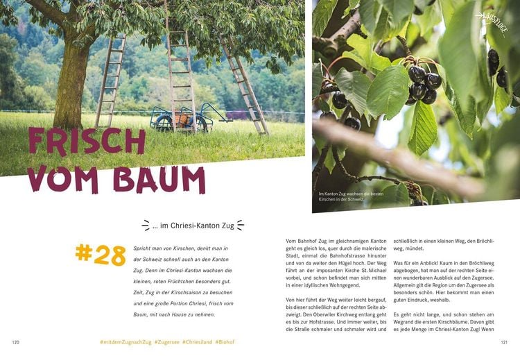 Produktbild: 52 kleine & gro&szlig;e Eskapaden in und um Z&uuml;rich