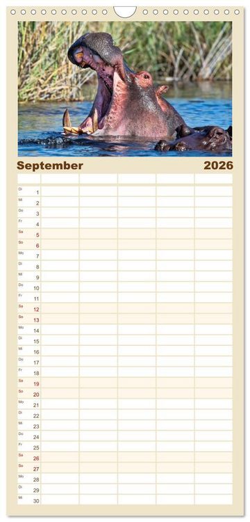 Produktbild: Familienplaner 2026 - Flusspferde - gem&uuml;tlich gef&auml;hrlich mit 5 Spalten (Wandkalender, 21 x 45 cm) CALVENDO