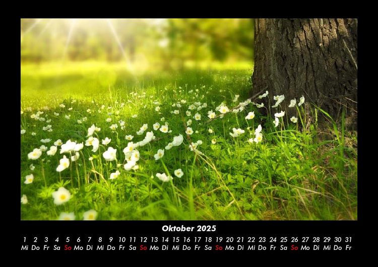 Produktbild: Blumenkalender 2025 Fotokalender DIN A3