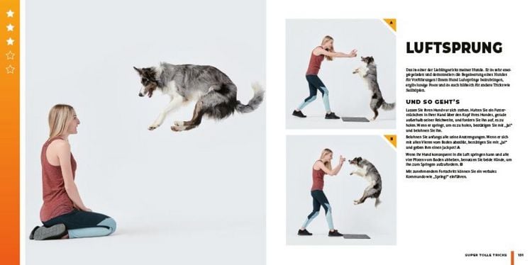 Produktbild: Super Dog Tricks