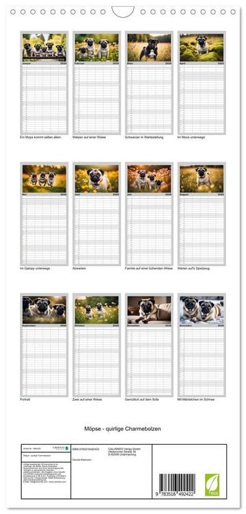 Produktbild: Familienplaner 2026 - M&ouml;pse - quirlige Charmebolzen mit 5 Spalten (Wandkalender, 21 x 45 cm) CALVENDO