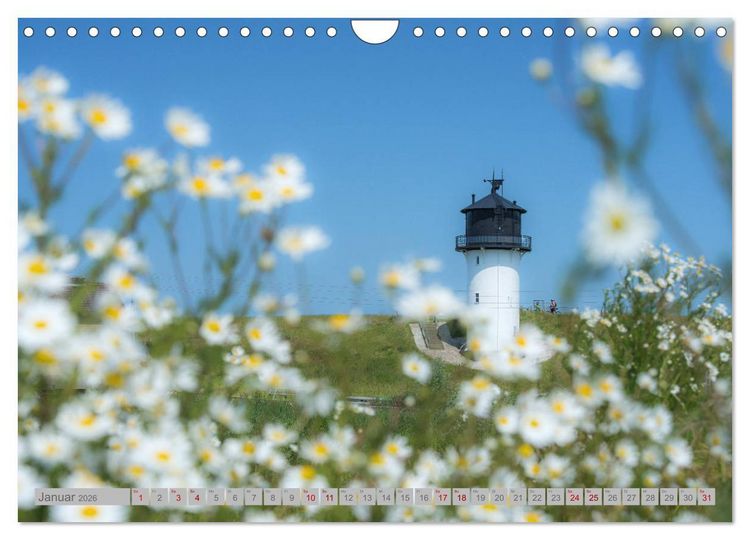 Produktbild: Leuchtt&uuml;rme - W&auml;chter der K&uuml;sten (Wandkalender 2026 DIN A4 quer), CALVENDO Monatskalender