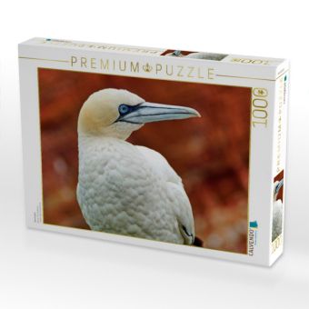 Produktbild: CALVENDO Puzzle Basst&ouml;lpel | 1000 Teile Lege-Gr&ouml;&szlig;e 64x48cm Foto-Puzzle f&uuml;r gl&uuml;ckliche Stunden