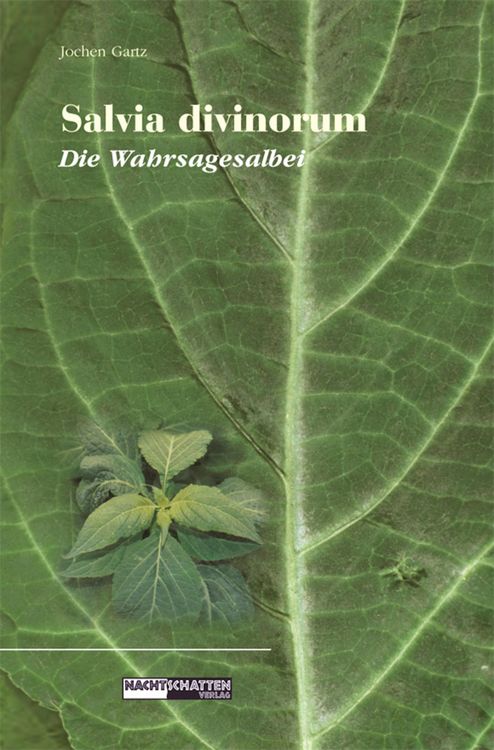 Produktbild: Salvia Divinorum - Die Wahrsagesalbei
