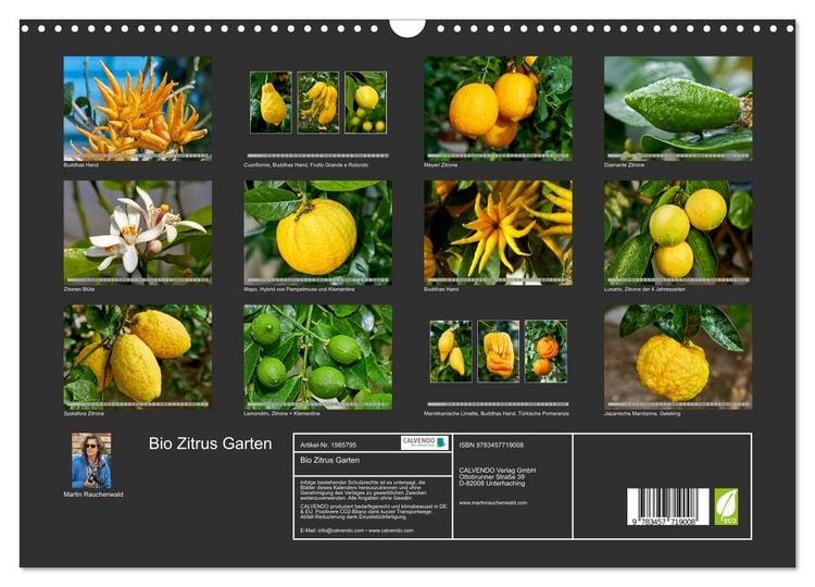 Produktbild: Bio Zitrus Garten (Wandkalender 2026 DIN A3 quer), CALVENDO Monatskalender
