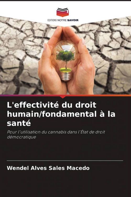 Produktbild: L'effectivit&eacute; du droit humain/fondamental &agrave; la sant&eacute;