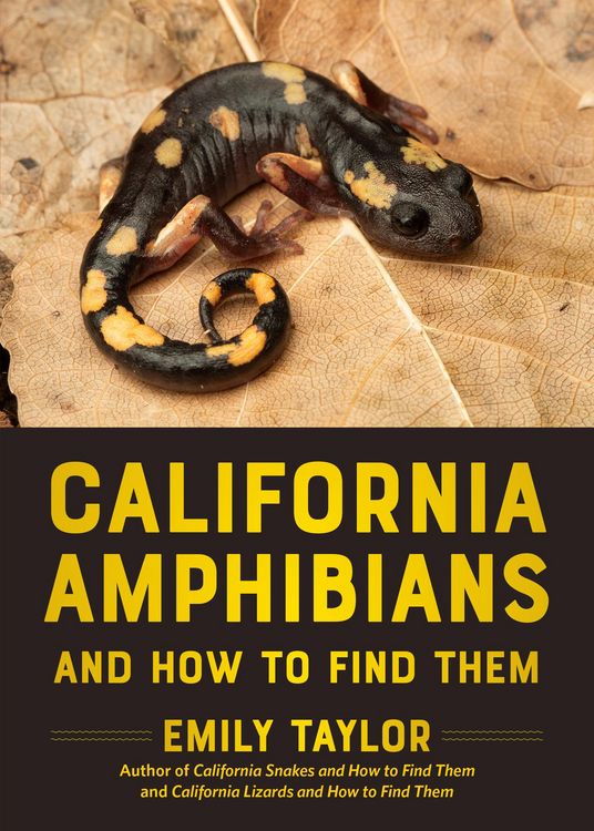 Produktbild: California Amphibians and How to Find Them