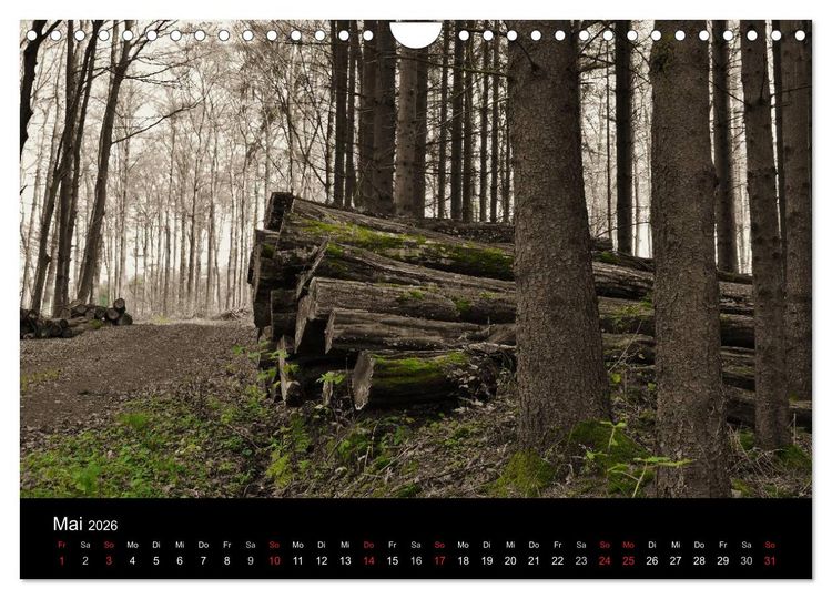 Produktbild: Faszination Wald. Waldimpressionen aus Nordhessen von Lutz Klapp (Wandkalender 2026 DIN A4 quer), CALVENDO Monatskalender