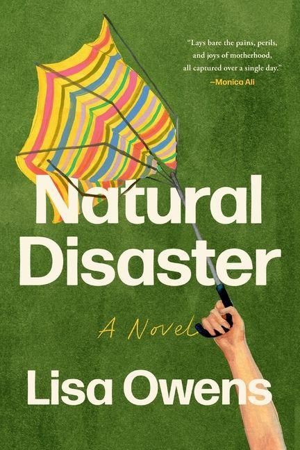 Produktbild: Natural Disaster