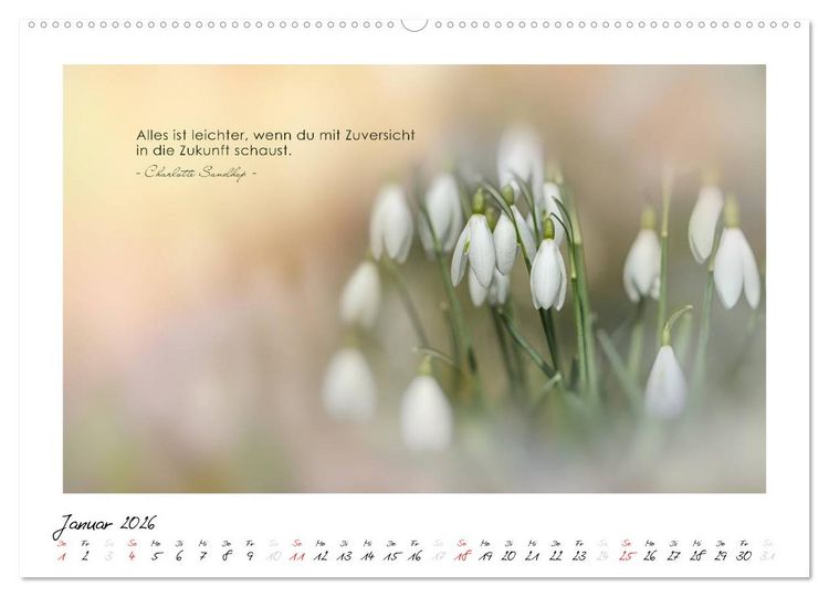 Produktbild: Mit guten Gedanken durch das Jahr (hochwertiger Premium Wandkalender 2026 DIN A2 quer), Kunstdruck in Hochglanz