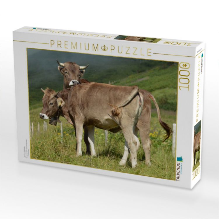 Produktbild: CALVENDO Puzzle Zwei Jungrinder | 1000 Teile Lege-Gr&ouml;&szlig;e 64x48cm Foto-Puzzle f&uuml;r gl&uuml;ckliche Stunden