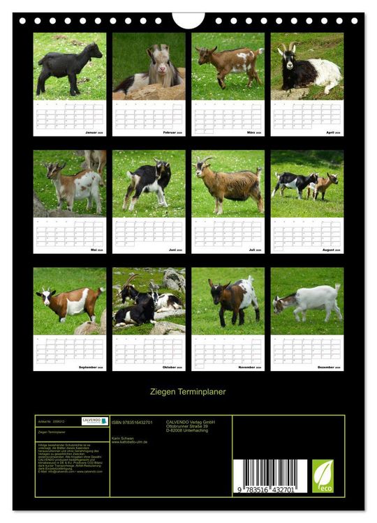 Produktbild: Ziegen Terminplaner (Wandkalender 2026 DIN A4 hoch), CALVENDO Monatskalender