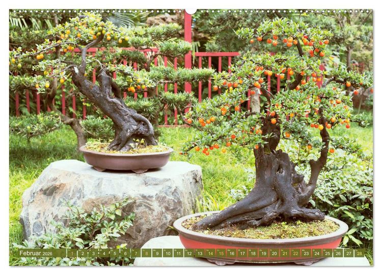 Produktbild: Gartenkunst aus Japan: Bonsai (hochwertiger Premium Wandkalender 2026 DIN A2 quer), Kunstdruck in Hochglanz