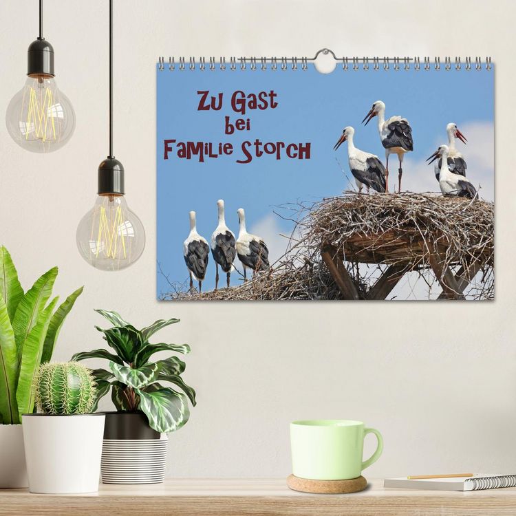 Produktbild: Zu Gast bei Familie Storch (Wandkalender 2026 DIN A4 quer), CALVENDO Monatskalender