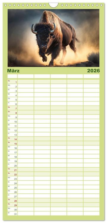 Produktbild: Familienplaner 2026 - Amerikanischer Bison mit 5 Spalten (Wandkalender, 21 x 45 cm) CALVENDO