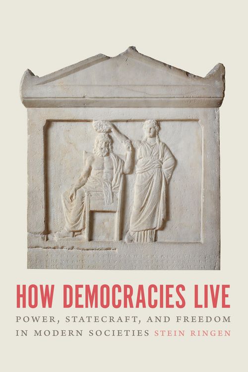 Produktbild: How Democracies Live