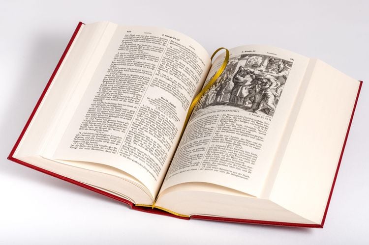 Die Bibel (Geschenkausgabe, Cabra-Leder)
