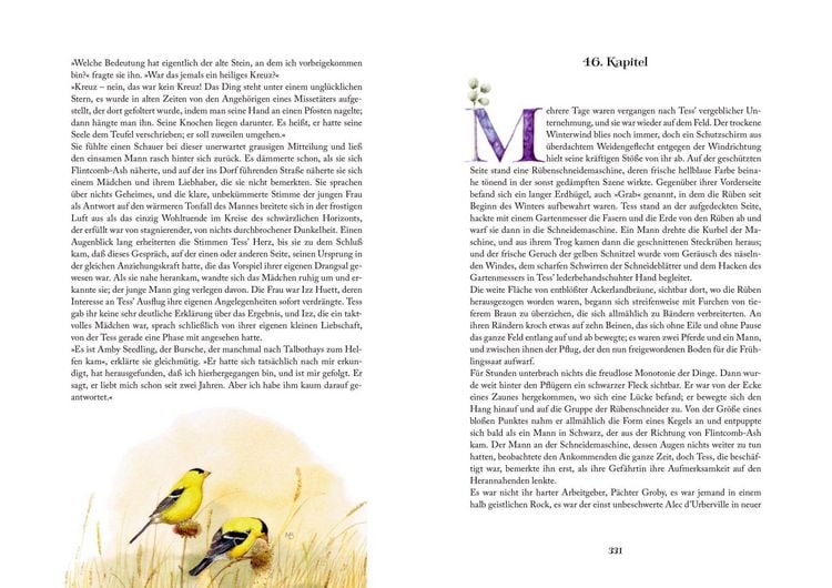 Produktbild: Gr. Schmuckausgabe (Bastin): Thomas Hardy, Tess
