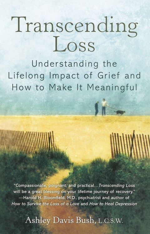 Produktbild: Transcending Loss