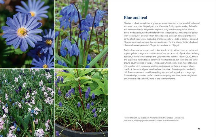 Produktbild: Growing Bulbs in the Natural Garden