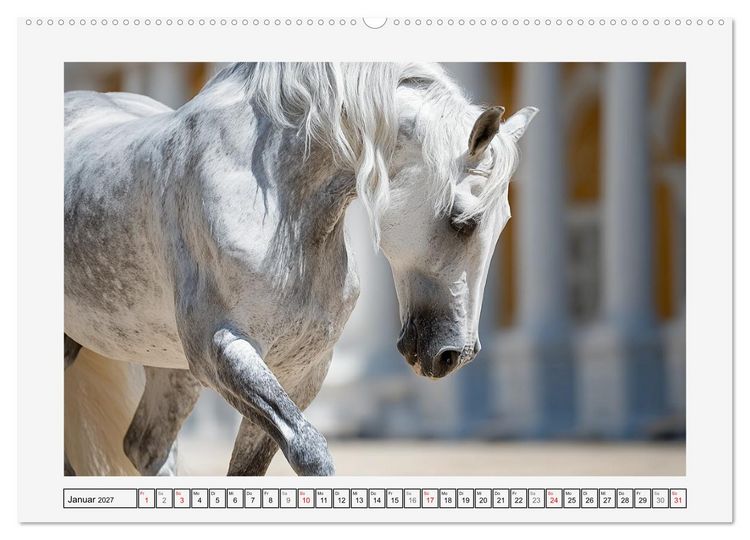 Produktbild: Spanische Eleganz. Edle Schimmel auf dem Gest&uuml;t (hochwertiger Premium Wandkalender 2027 DIN A2 quer), Kunstdruck in Hochglanz