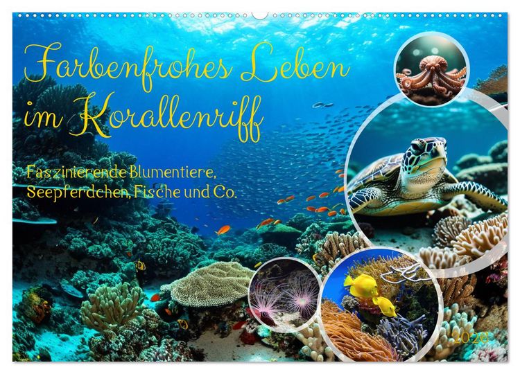 Produktbild: Farbenfrohes Leben im Korallenriff (Wandkalender 2026 DIN A2 quer), CALVENDO Monatskalender