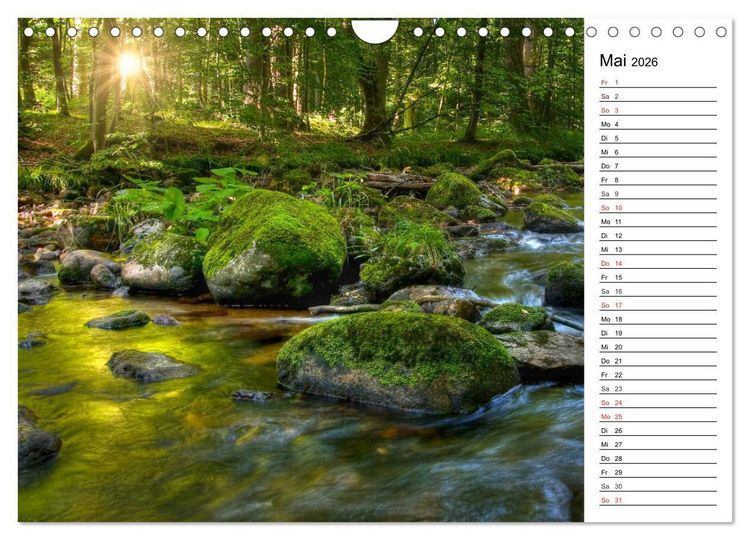Produktbild: Landschaften im Harz (Wandkalender 2026 DIN A4 quer), CALVENDO Monatskalender