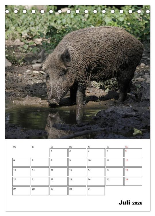 Produktbild: Der wildschweinische Terminplaner (Tischkalender 2026 DIN A5 hoch), CALVENDO Monatskalender