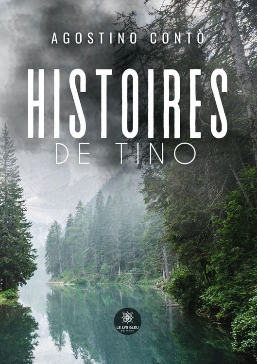 Produktbild: Histoires de Tino