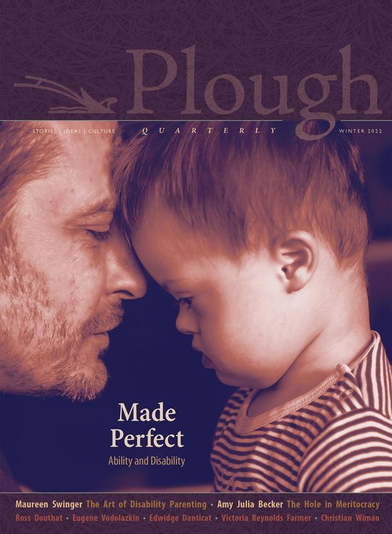 Produktbild: Plough Quarterly No. 30 - Made Perfect